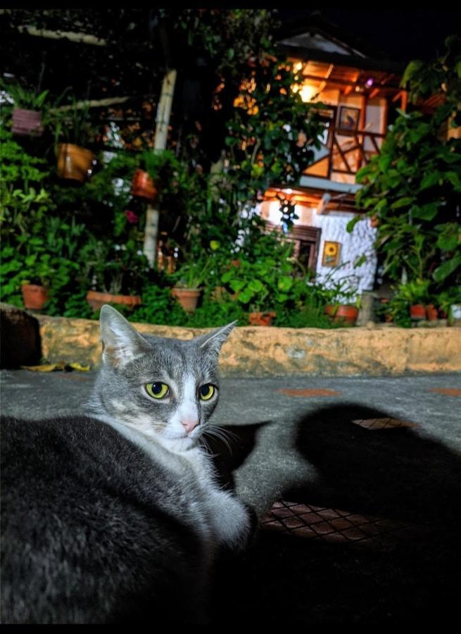 Hospedaje El Jardin San Agustín 외부 사진